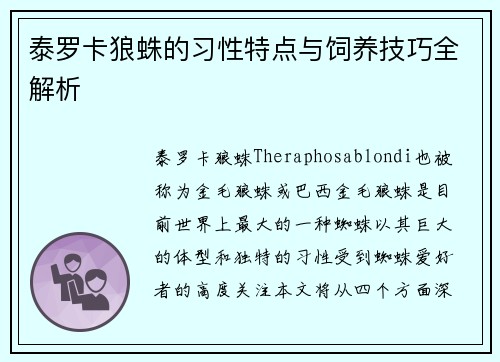 泰罗卡狼蛛的习性特点与饲养技巧全解析